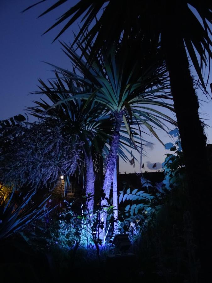 Gite "Rose Des Sables" - 800M De La Plage De Surtainville, Proche Commerces - Piscine En Juillet Et Aout חדר תמונה